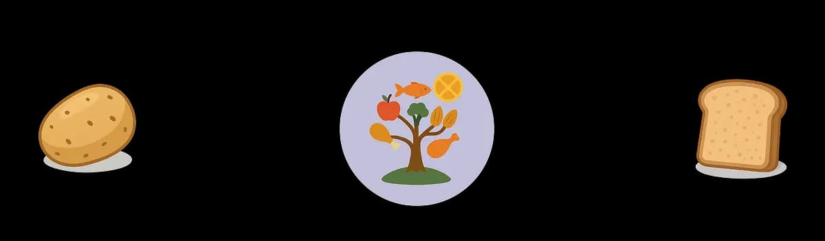 Food transformation visual